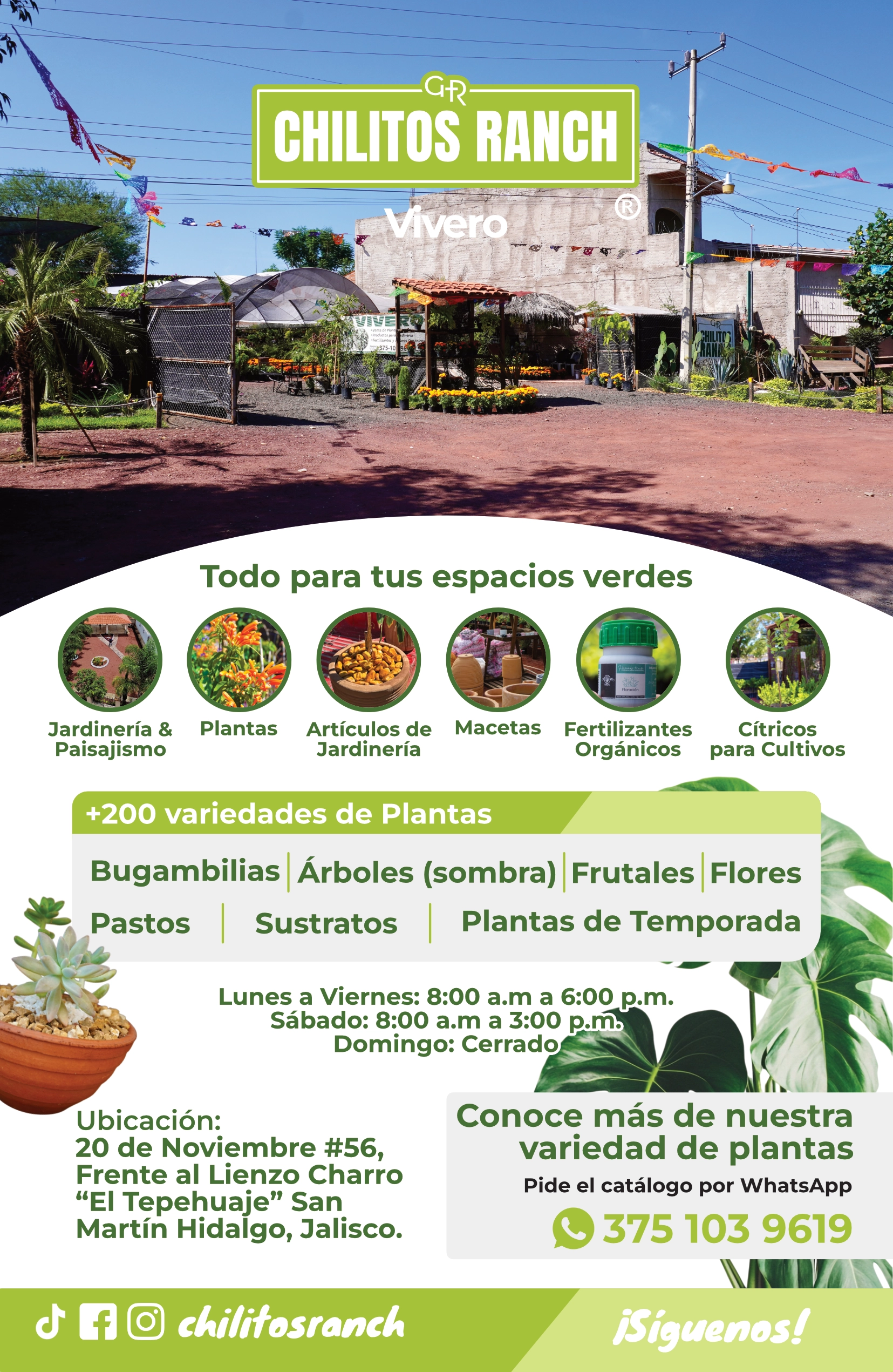 Volante de Chilitos Ranch diseñado por Adouh